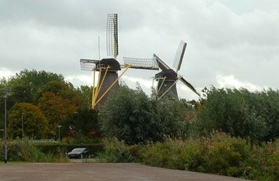 Mills in Rotterdam
